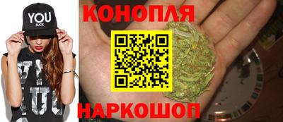 гидропоника Коммунар